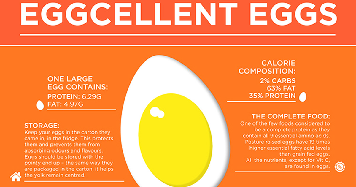 Eggcellent Eggs - Real Meal Revolution