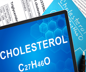 Cholesterol - What You Need to Know - Real Meal Revolution