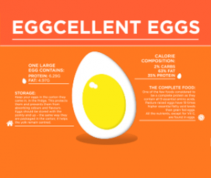 Eggcellent Eggs - Real Meal Revolution