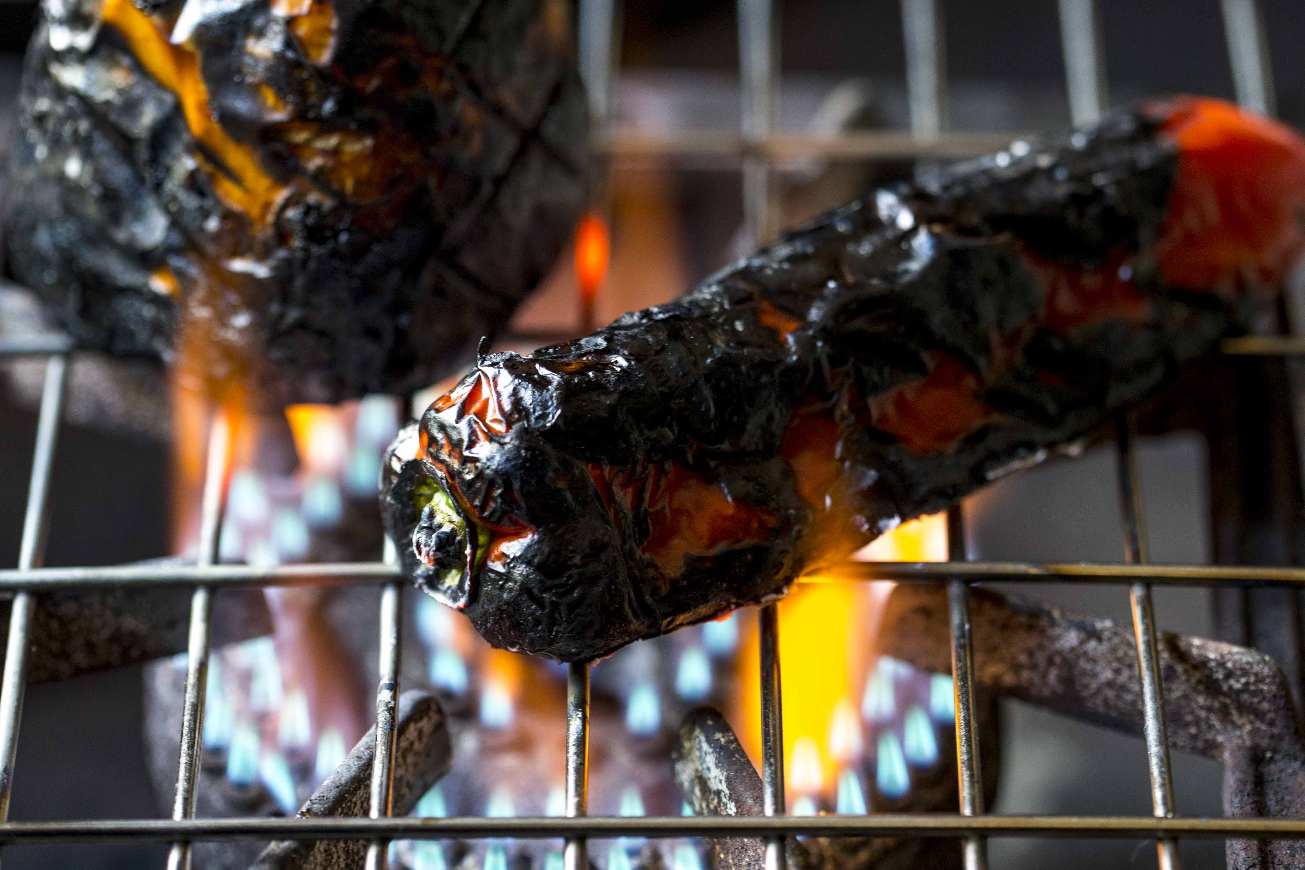 Low res Day 4 shot 5 charring lesson-4758
