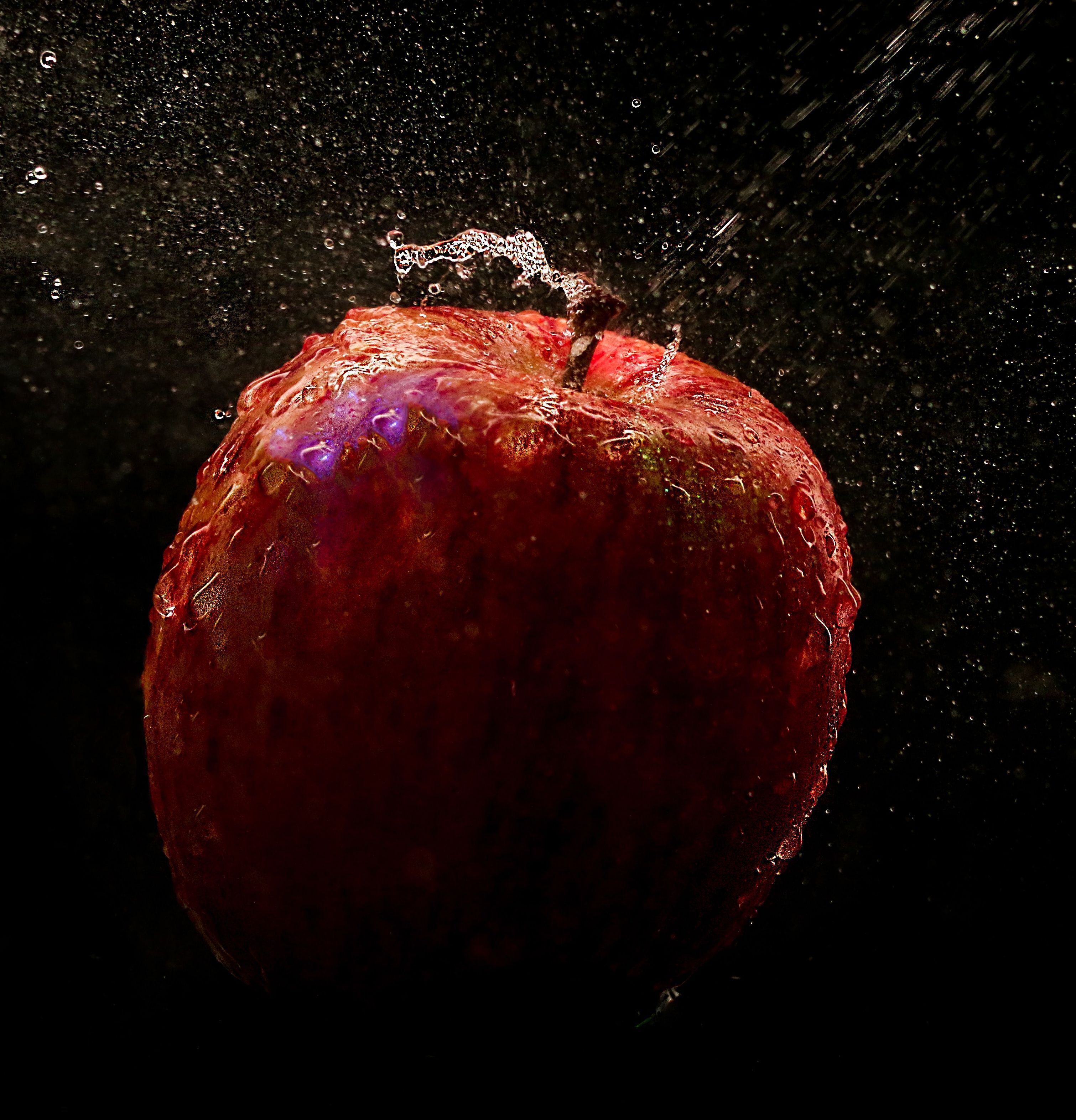 apple 2